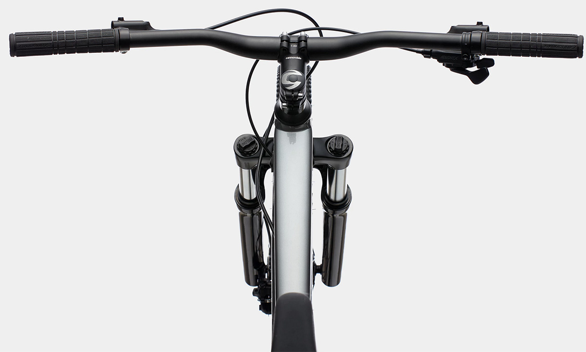 Фотография Велосипед Cannondale TRAIL 5 Feminine 29" размер L 2021 Серый 3