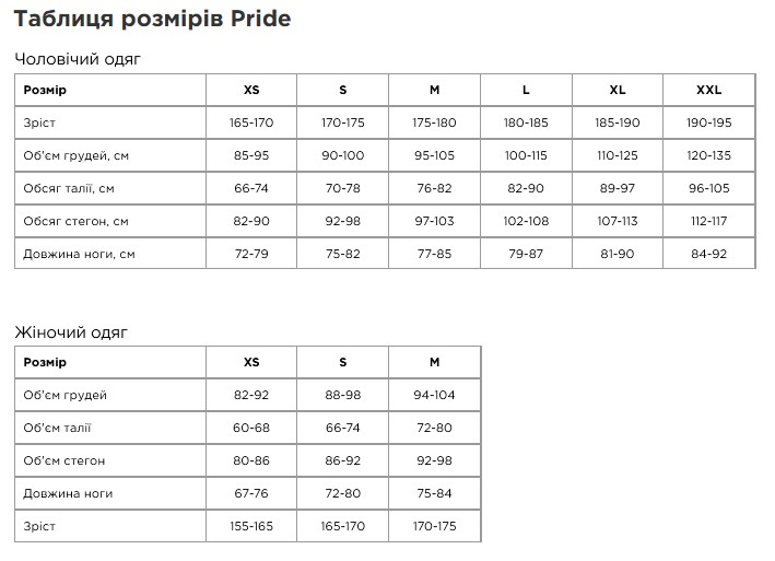 Фотографія Футболка Pride із зображенням "Морозиво", жіноча, сірий, розмір L 2