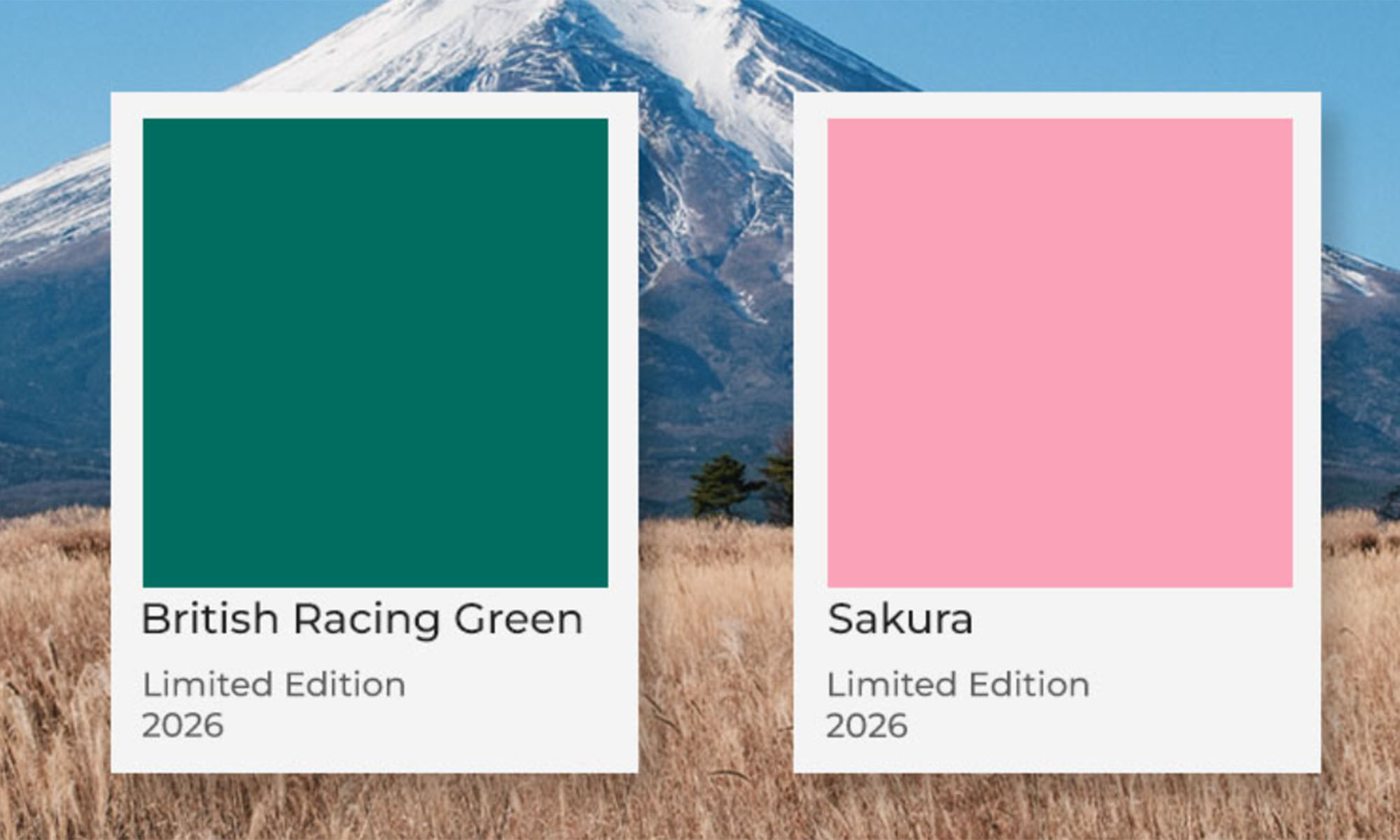 Покрышка Panaracer GRAVELKING SS Limited Edition 2026, 700x40C British Racing Green/Black 3