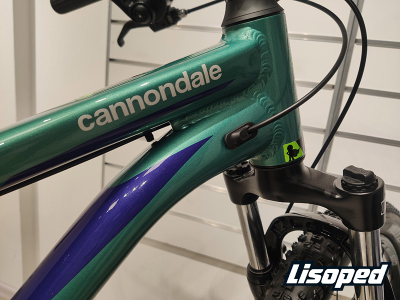 Фотографія Велосипед 27,5" Cannondale TANGO 6 Feminine (2020) 2020 Бірюзовий 5