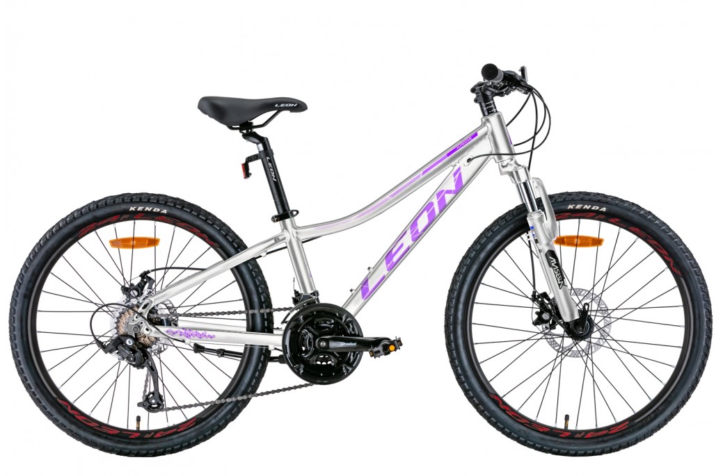 Фотография Велосипед Leon JUNIOR AM DD 24" рама XXS (2022) Серо-фиолетовый