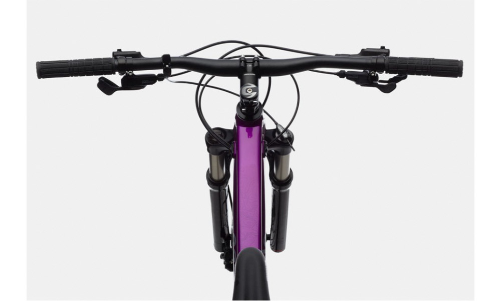 Велосипед Cannondale TRAIL SL 4 Feminine 29" (2021) 2021 Біло-фіолетовий 2