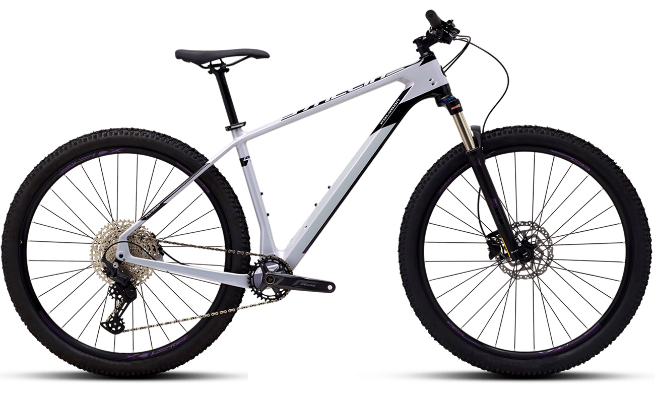 Велосипед Polygon SYNCLINE C2 27,5" (2021) 2021 Серый 24