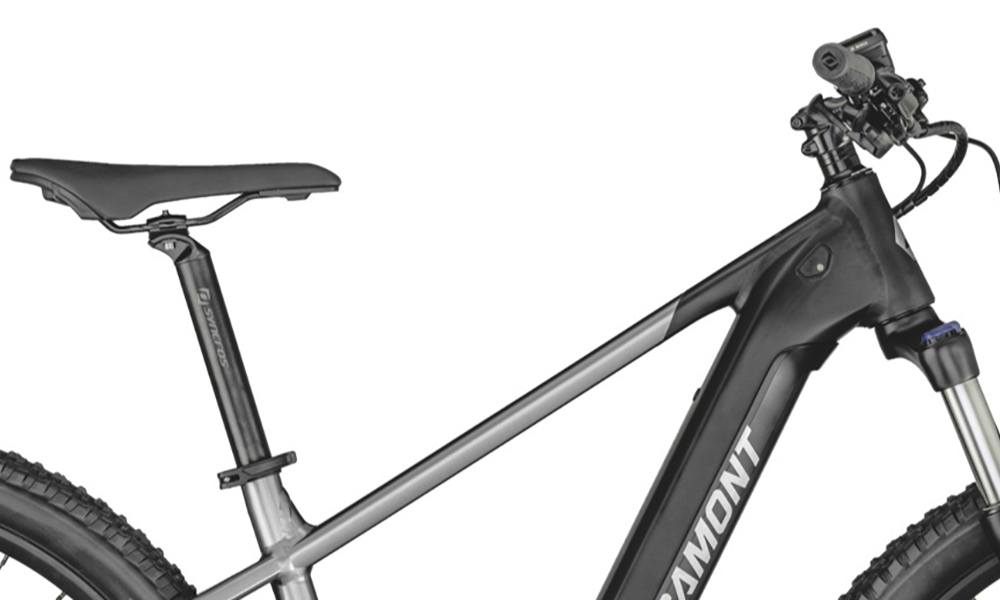 Фотографія Велосипед Bergamont E-Revox Sport 29" (2021) 2021 Чорно-сірий 2