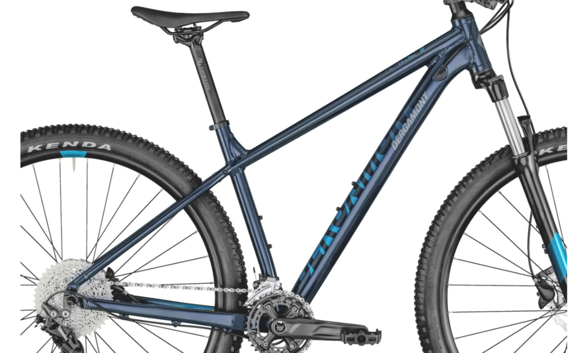 Фотография Велосипед Bergamont Revox 5 29" 2021, размер М, blue 2
