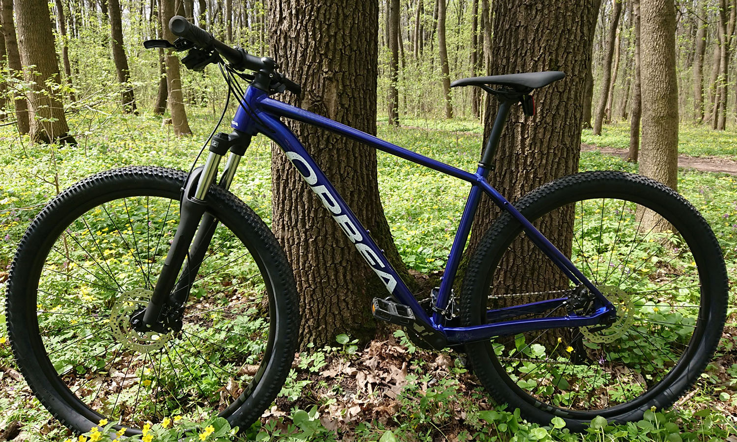 Фотографія Велосипед Orbea Onna 10, 29", рама M, 2022, Blue - White 6