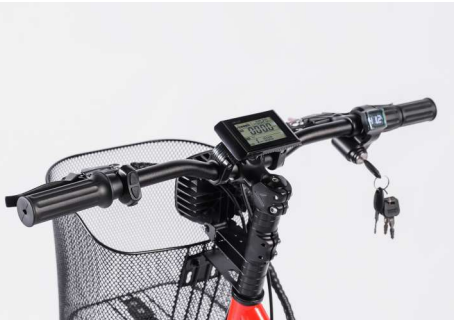 Электровелосипед трехколесный Bayka Mini Truck 350W 3 Электровелосипед трехколесный Bayka Mini Truck 350W 3