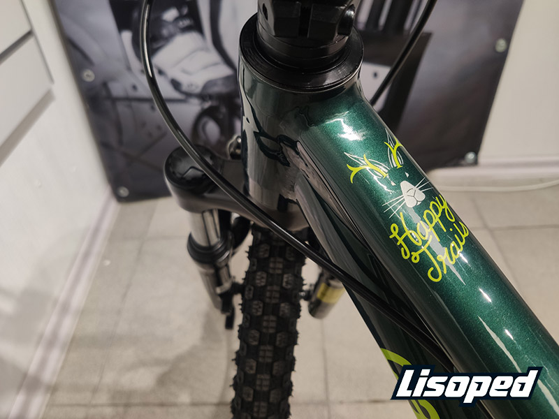 Фотография Велосипед 20" Cannondale TRAIL BOYS OS (2020) 2020 Зеленый 3