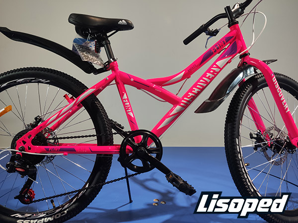 Фотографія Велосипед Discovery 24" FLINT DD (2020) 2020 Рожевий