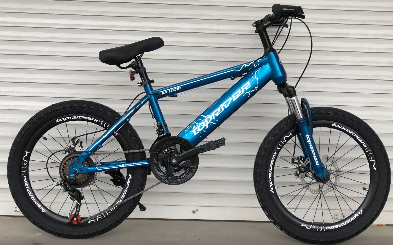 Фотография Велосипед Toprider Type 509 20" 2023 Синий
