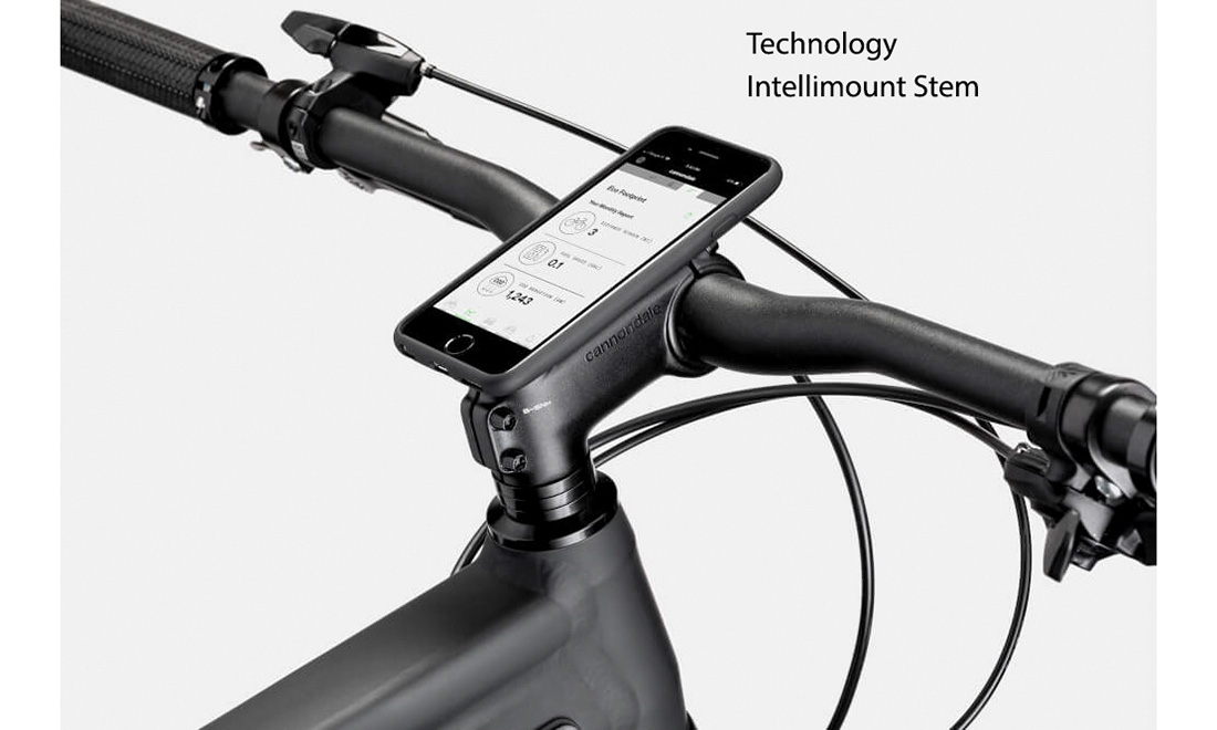 Велосипед Cannondale TRAIL SL 2 29" 2021, размер L, blue 10