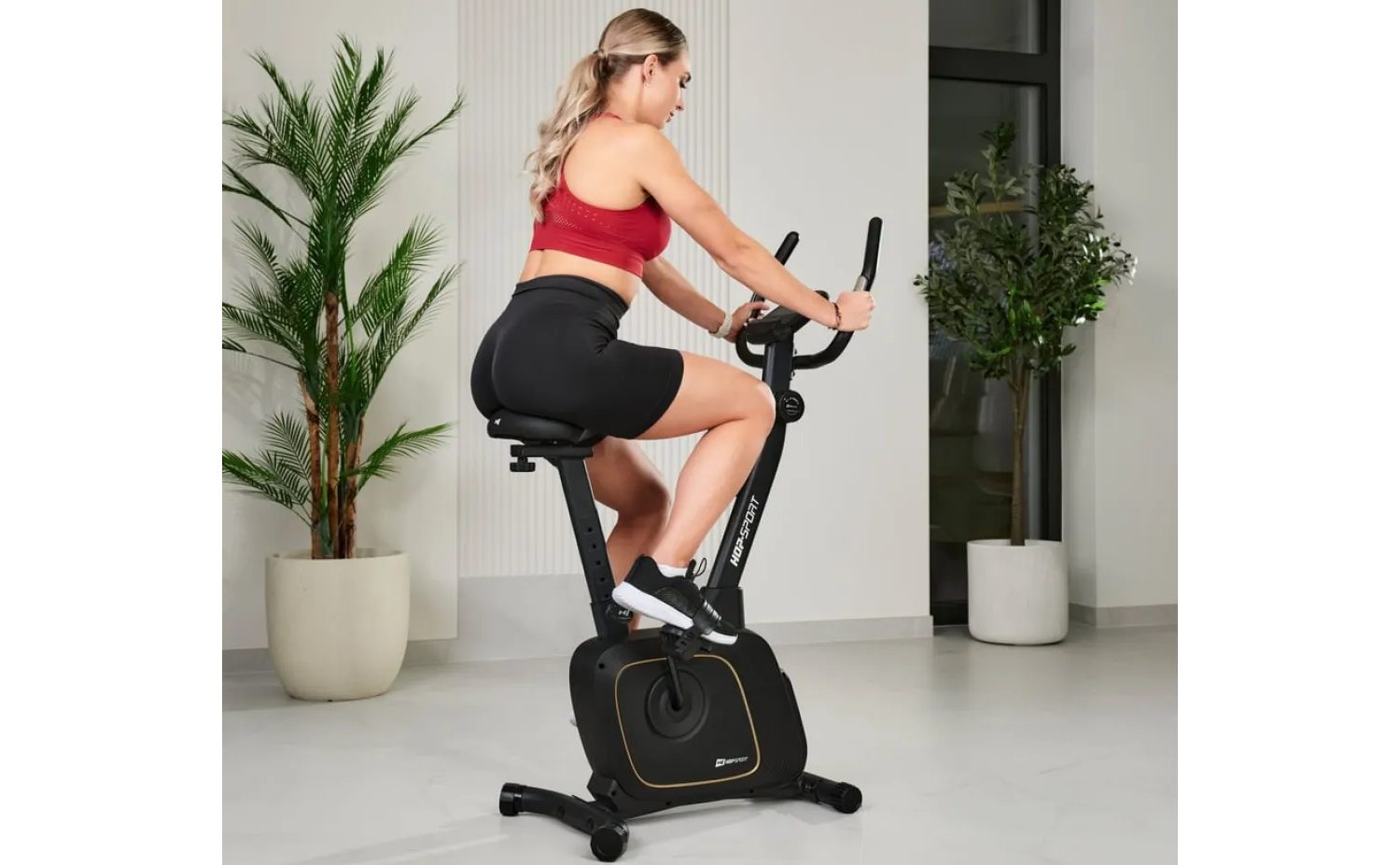 Велотренажер Hop-Sport HS-3000H Nexon магнітний чорний 3