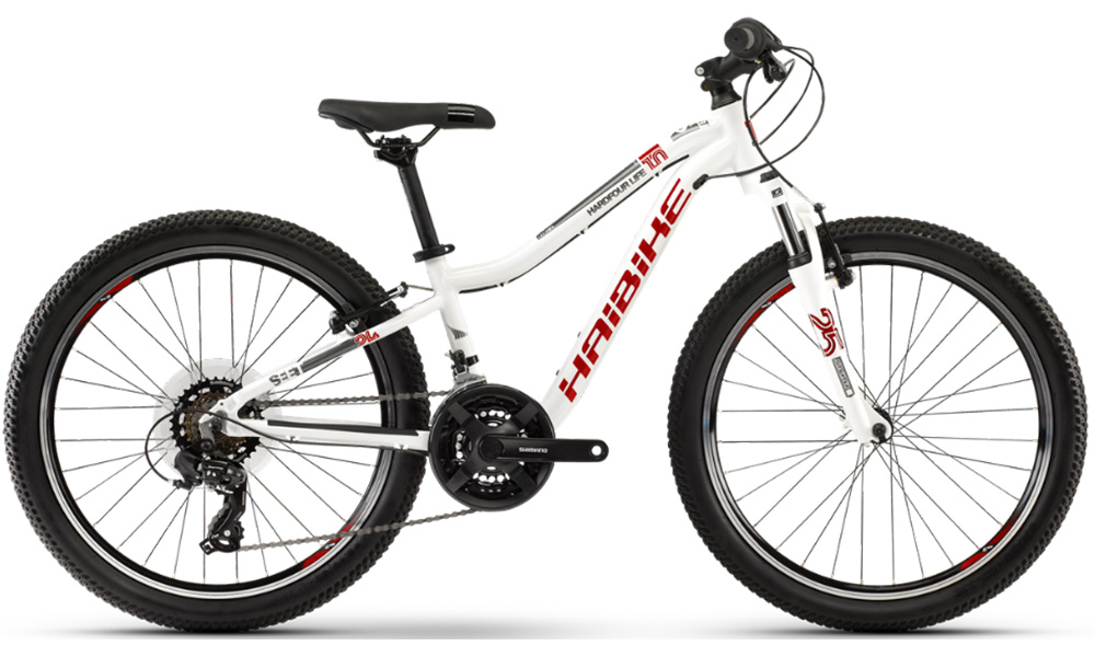 Фотографія Велосипед Haibike SEET HardFour Life 1.0 24" (2020) 2020 Біло-червоний