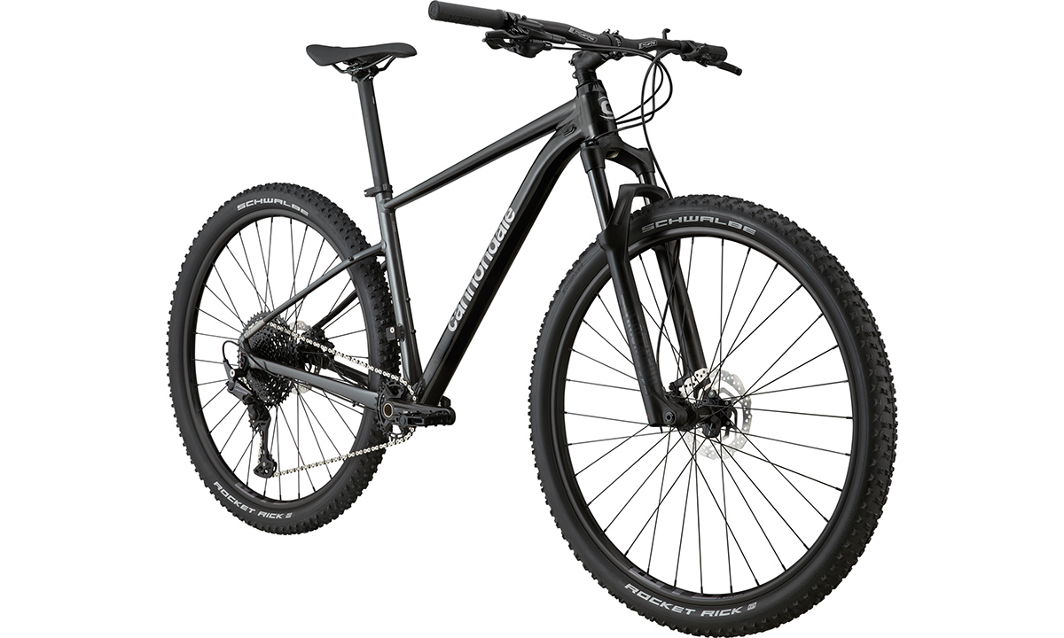 Фотографія Велосипед Cannondale TRAIL SL 3 29" 2021, розмір L, Чорно-сірий 2