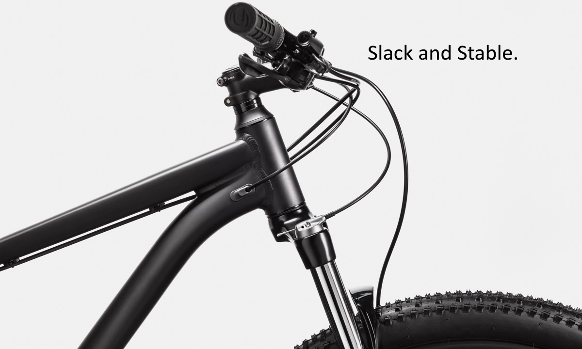Фотография Велосипед Cannondale TRAIL 7 29" 2021, размер XL, black 4