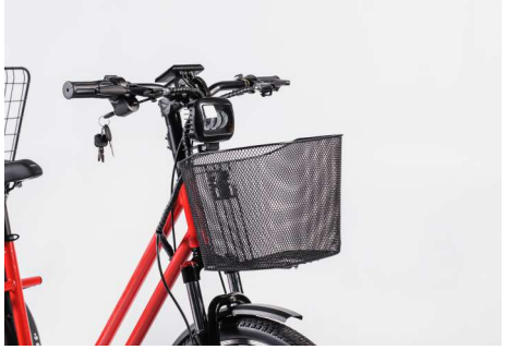 Електровелосипед триколісний Bayka Mini Truck 350W 5