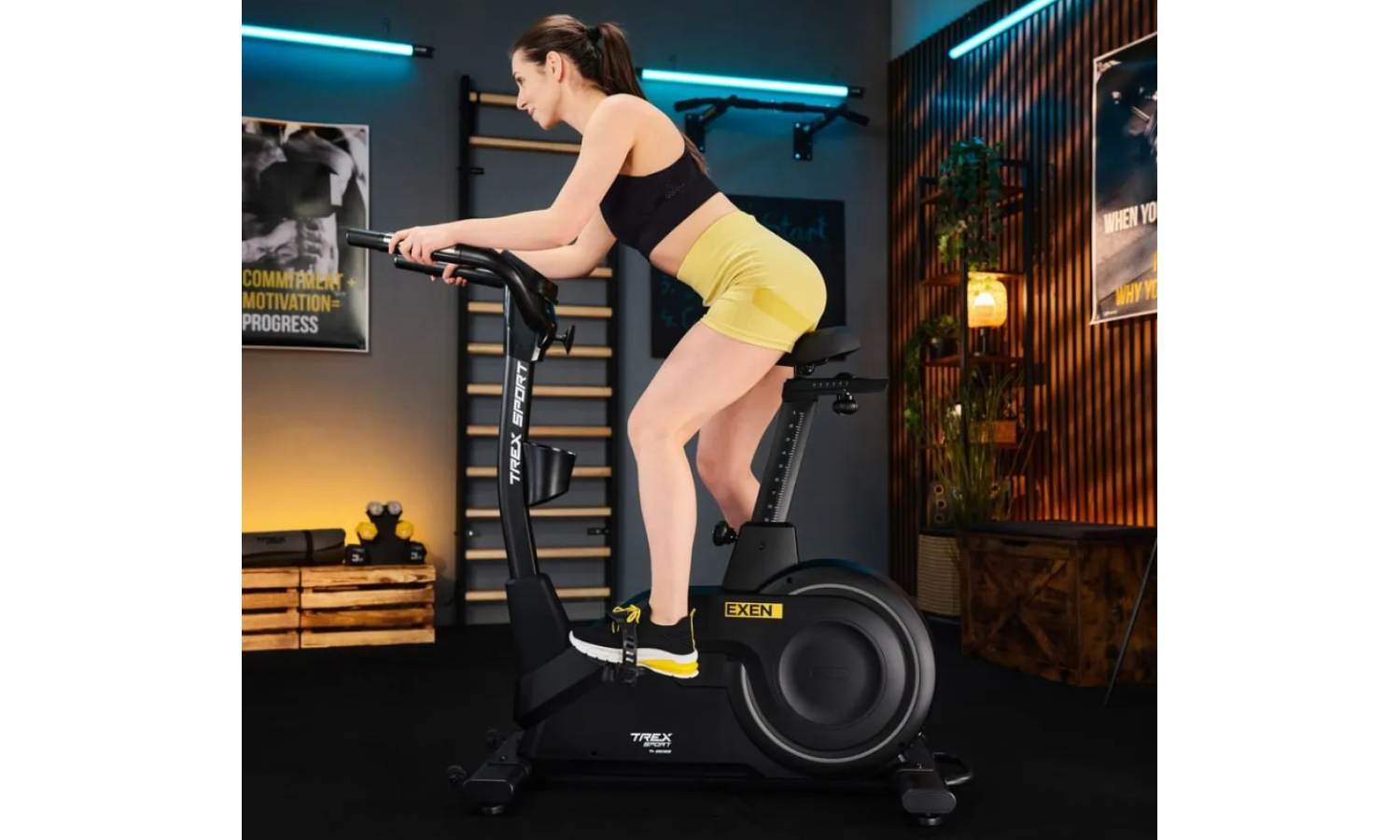 Велотренажер Trex Sport TX-950EB Exen электромагнитный черный 16