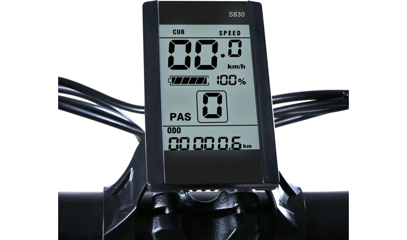 Электровелосипед фэтбайк SAMEBIKE XWLX09 (500 Вт; 10 А/час; 48 В), колеса 20х4", с ручкой газа, черный 3