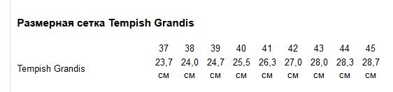 Ролики Tempish GRANDIS, размер 41 Черно-зеленый 2