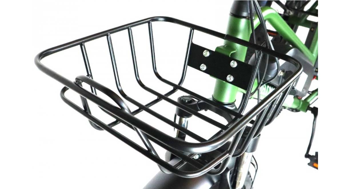 Триколісний електровелосипед VELOMOTOR CARGO 500W 48V 13Ah зелений 10