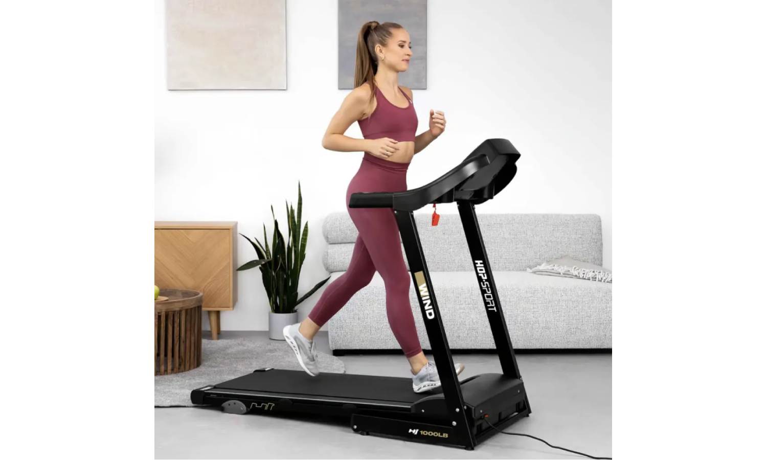 Бігова доріжка Hop-Sport HS-1000LB Wind сірий 13