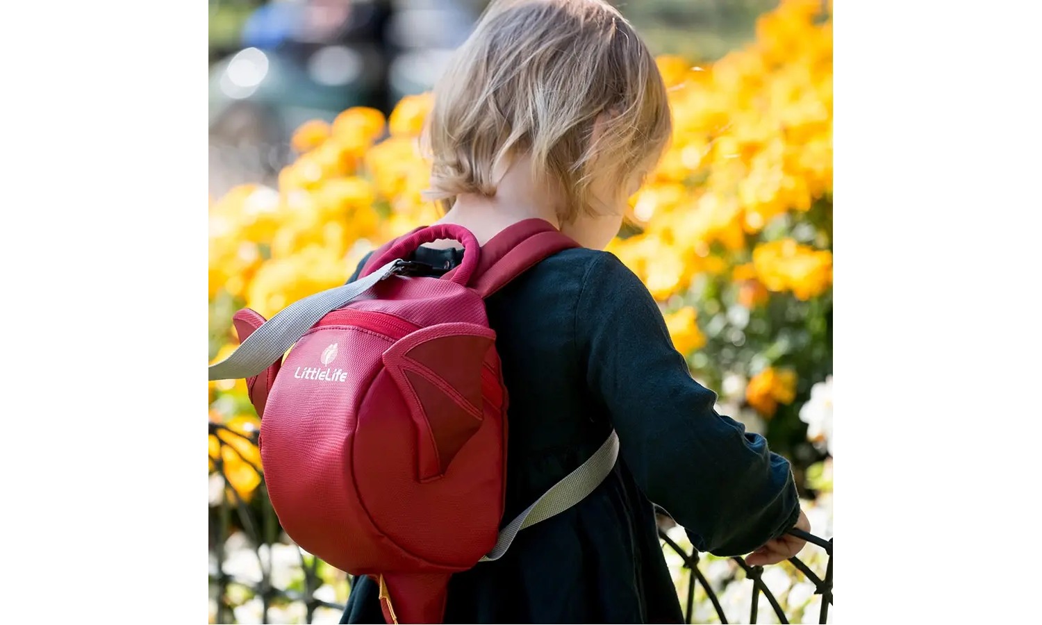 Рюкзак детский Little Life Animal Toddler 2 л dragon 2
