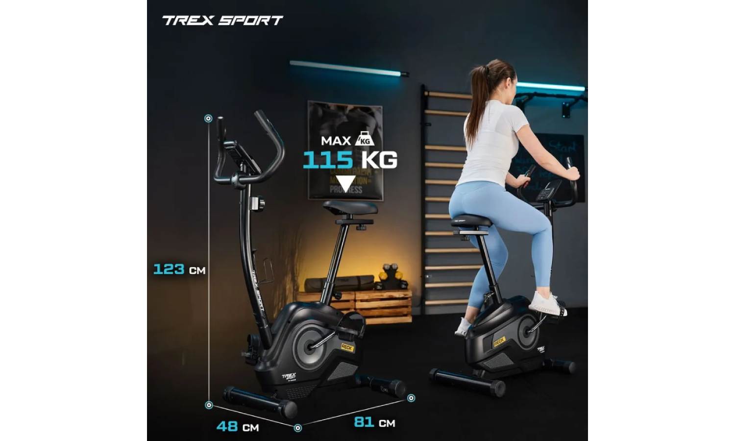 Велотренажер Trex Sport TX-400MB RECK магнітний сірий 14