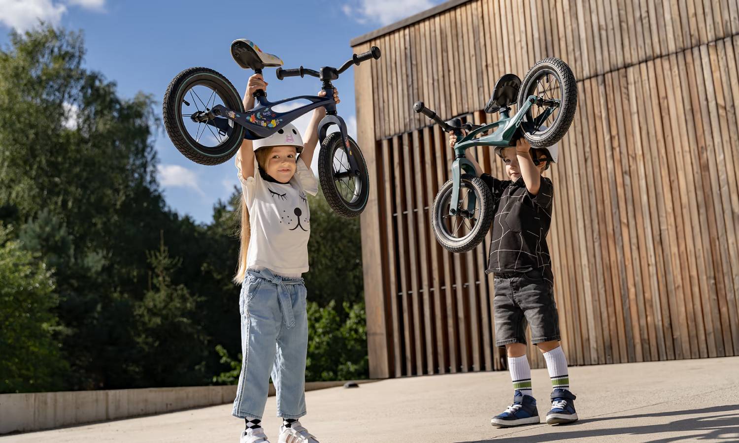 Беговел Lionelo BART AIR GREEN FOREST 6 Беговел Lionelo BART AIR GREEN FOREST 6