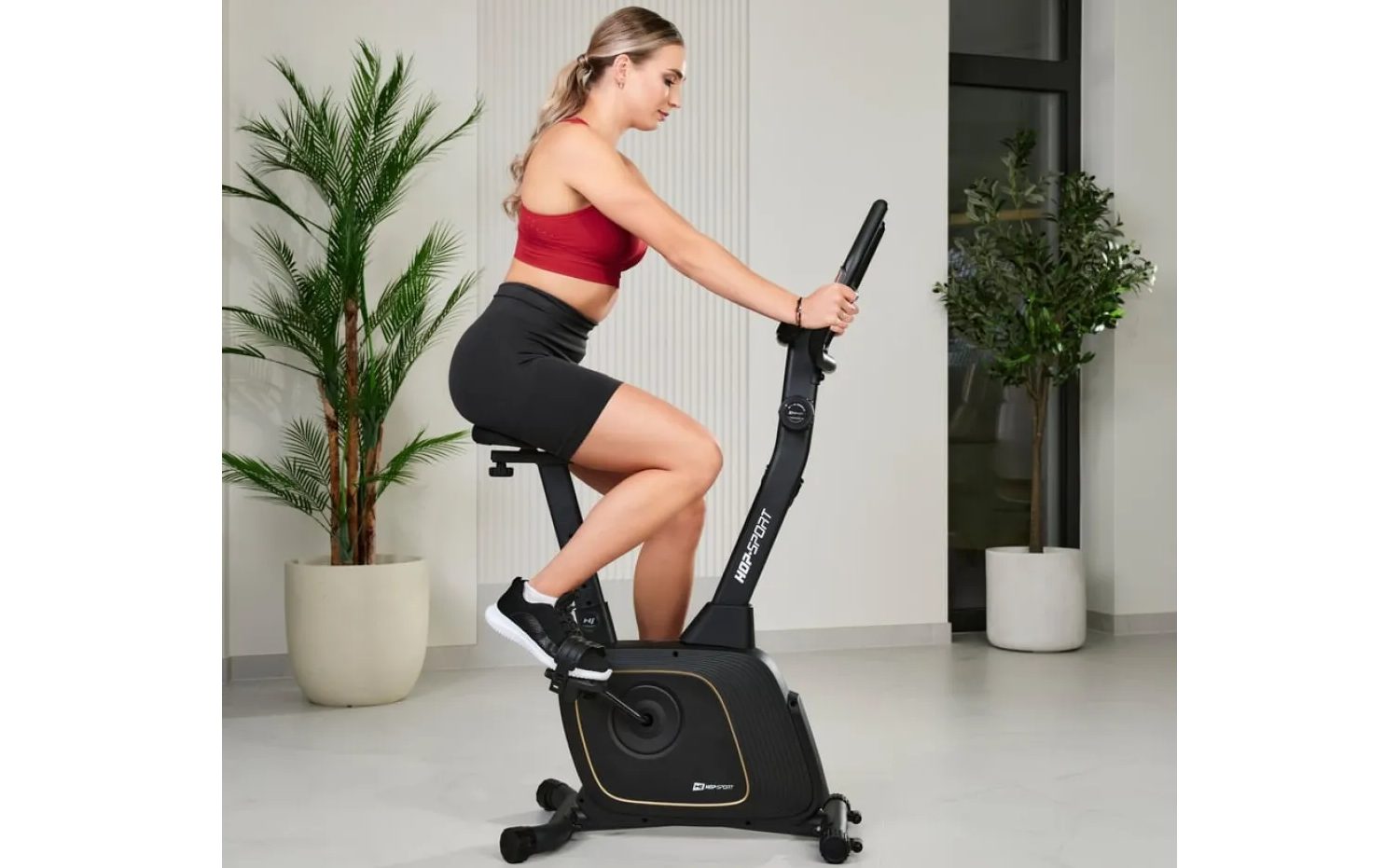 Велотренажер Hop-Sport HS-3000H Nexon магнитный черный 4