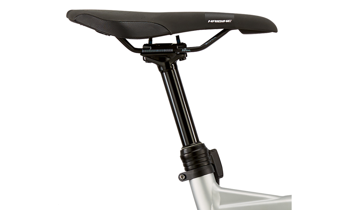 Електровелосипед Haibike XDURO FatSix 8.0 26" (2020) 2020 Сіро-зелений 6