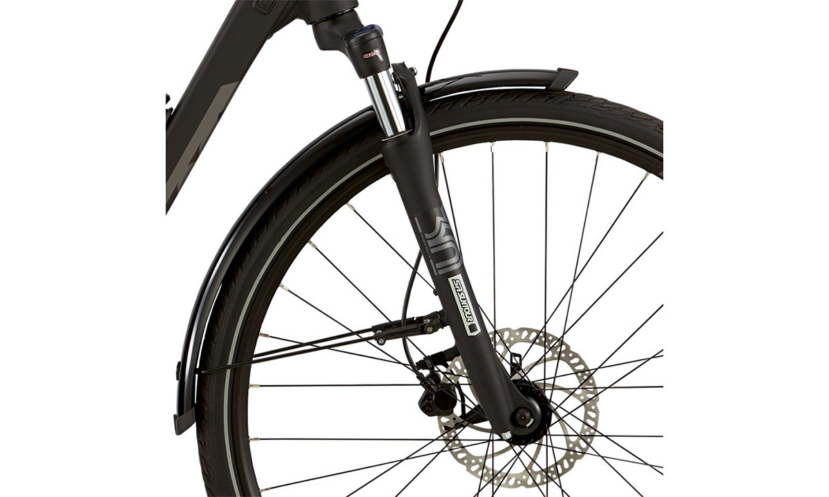 Електровелосипед Haibike SDURO Trekking 1.0 men 28" (2020) 2020 Сірий 4