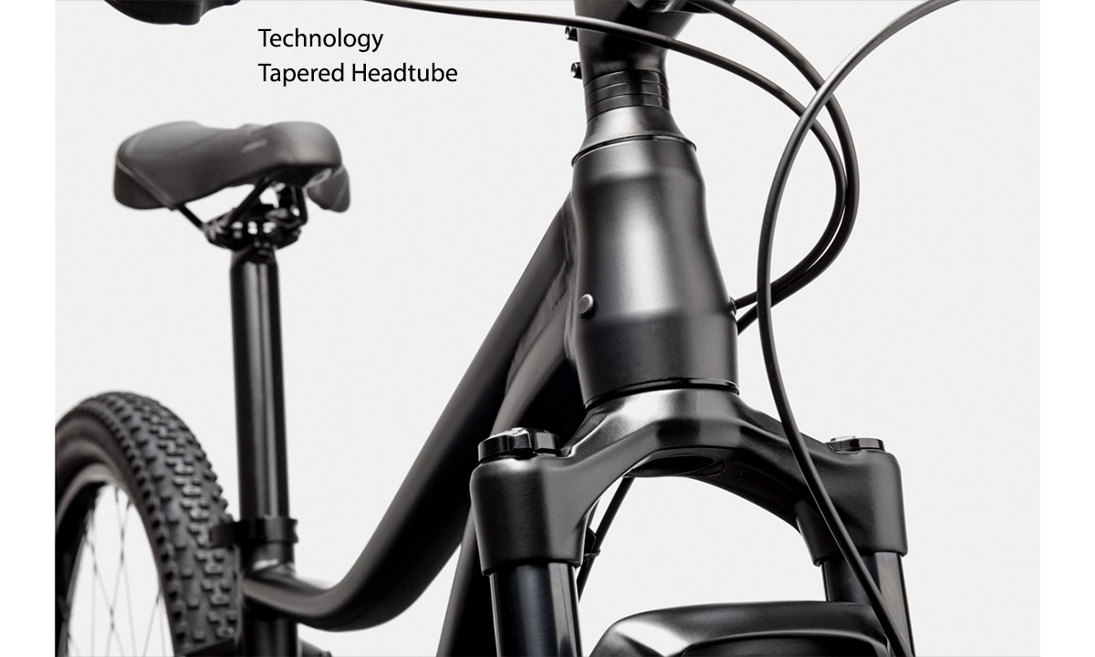 Фотография Велосипед Cannondale TRAIL 5 Feminine 29" размер L 2021 Серый 10