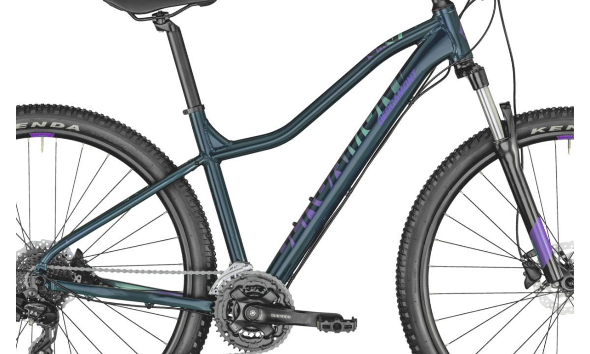 Фотографія Велосипед Bergamont Revox 3 FMN 29" 2021, розмір М, blue 6