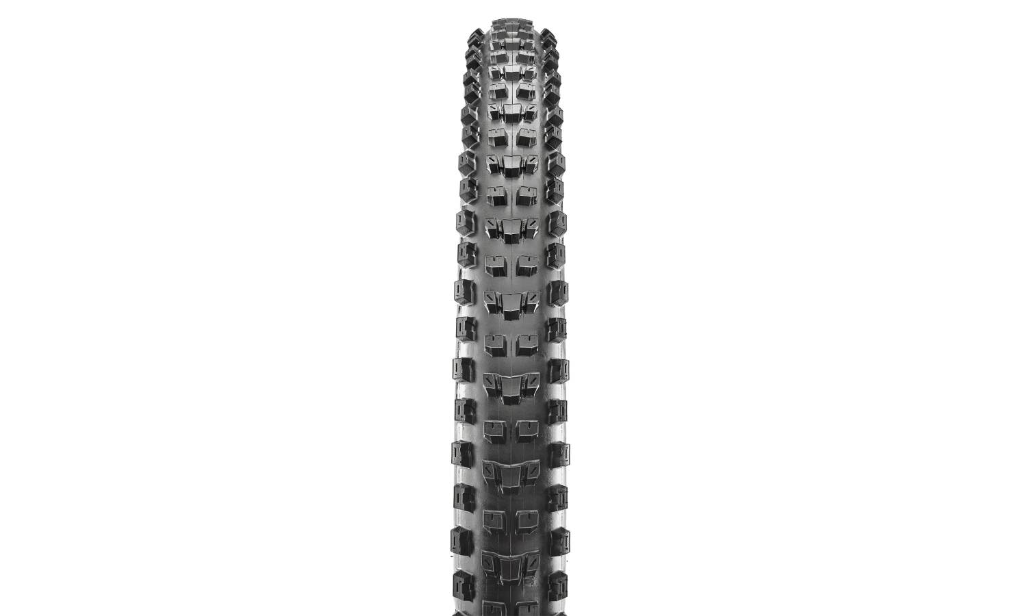 Фотографія Покришка Maxxis DISSECTOR 29X2.40WT TPI-60 Foldable EXO/TR 2