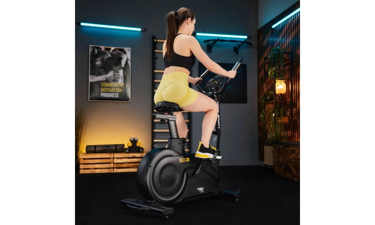 Велотренажер Trex Sport TX-950EB Exen электромагнитный черный 7