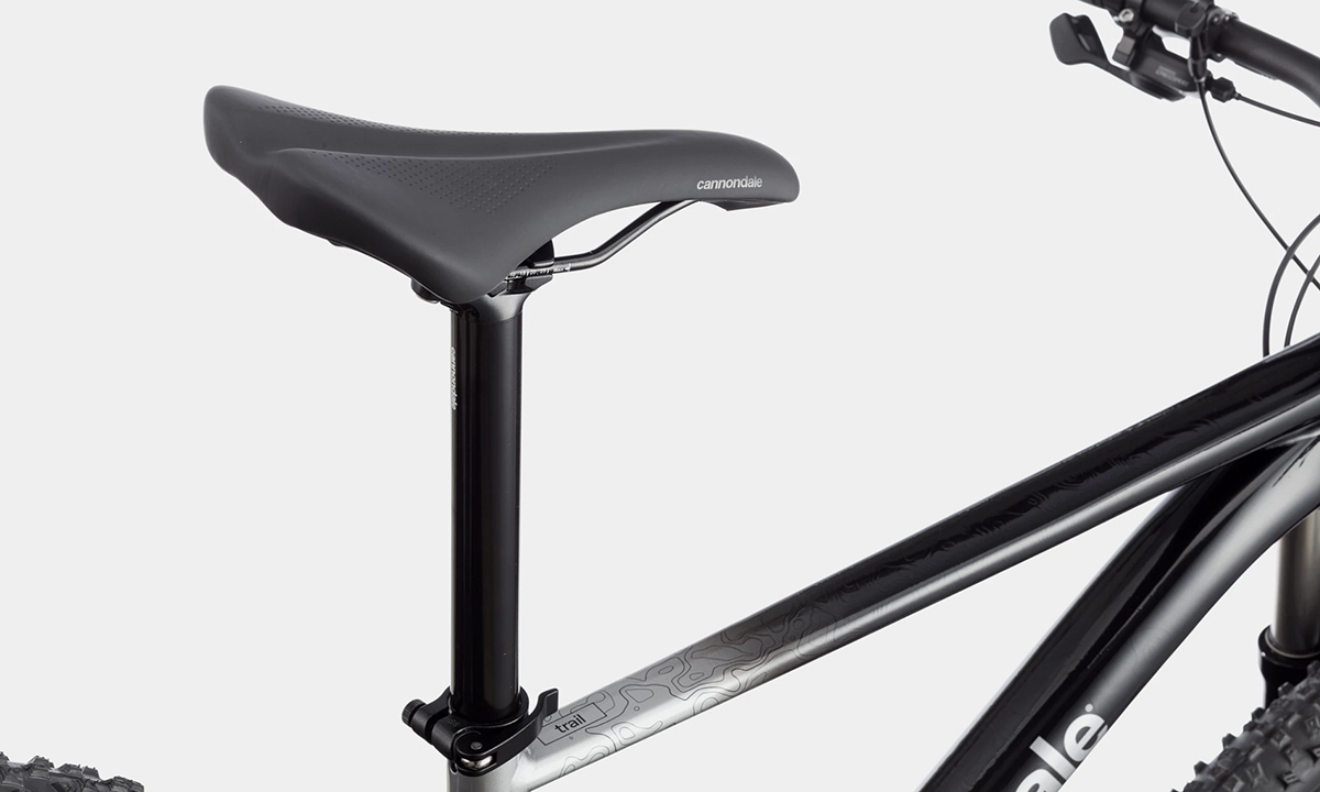 Фотография Велосипед Cannondale TRAIL SL 4 29" 2021, размер S, Черно-серый 9