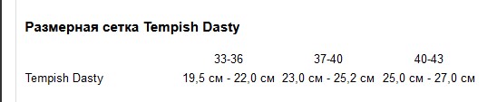 Фотография Роликовые коньки Tempish DASTY Boy, размер 37-40 Черно-голубой 2