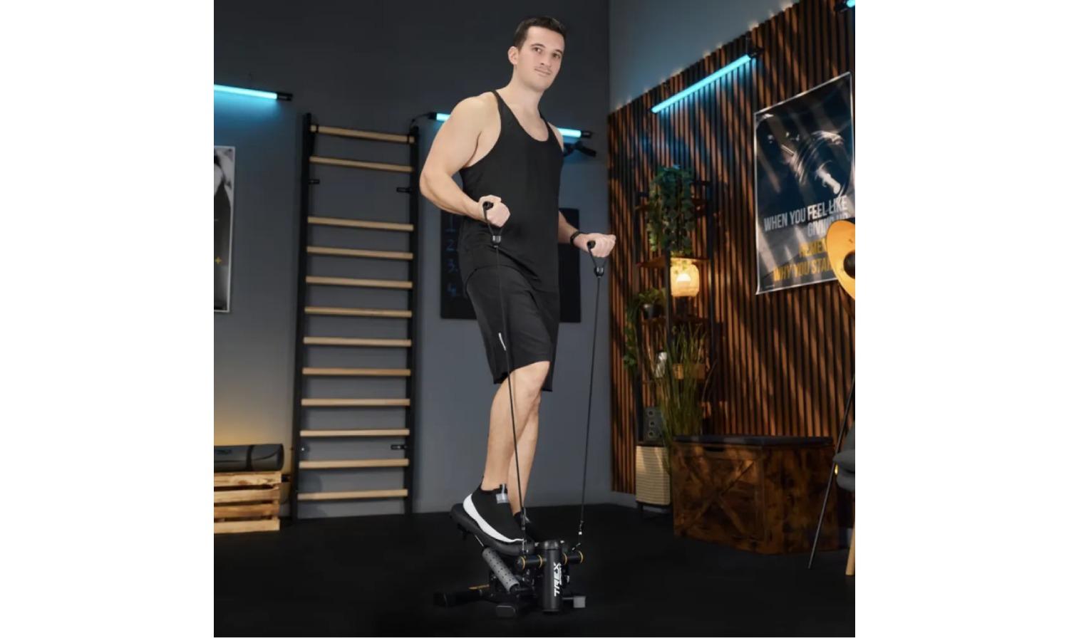 Степер 2в1 Trex-Sport TX-070SP Twiz Black 14