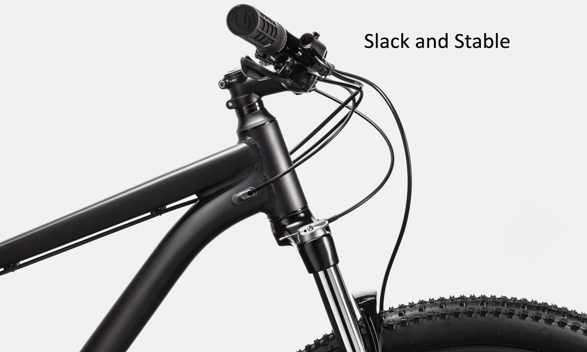 Фотографія Велосипед Cannondale TRAIL 5 29" 2021, розмір L, Чорно-сірий 9