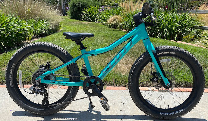 Велосипед SCOTT Roxter 20" teal blue 2