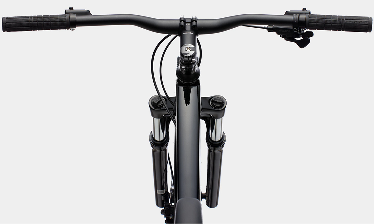 Фотография Велосипед Cannondale TRAIL 5 29" 2021, размер L, Черно-серый 2