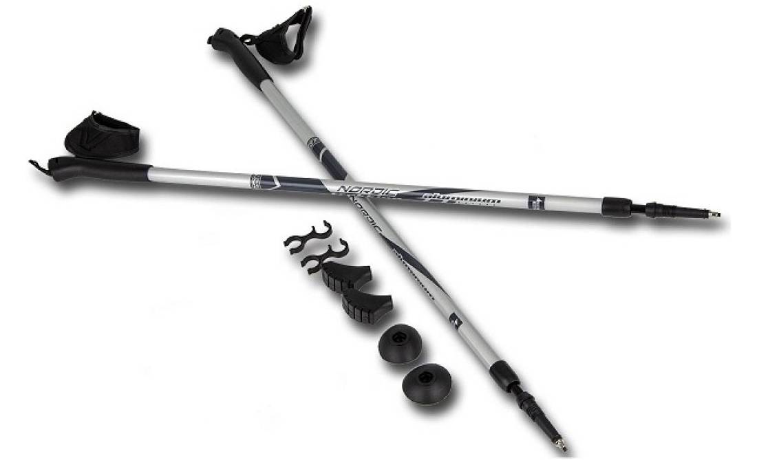 Палки для скандинавской ходьбы Best Sporting Classic 84 - 140см, серый 6 Палки для скандинавской ходьбы Best Sporting Classic 84 - 140см, серый 6