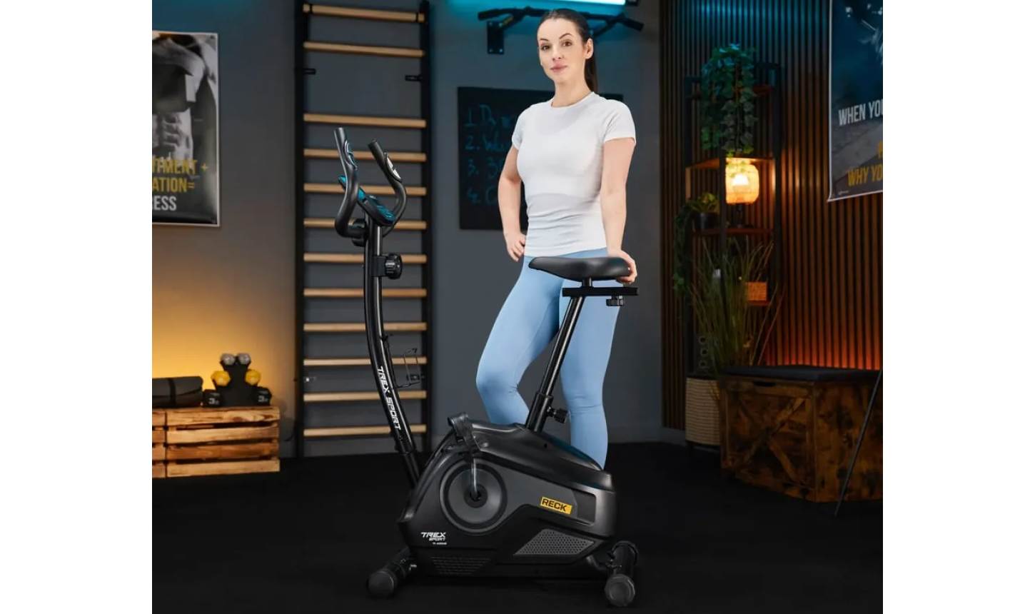 Велотренажер Trex Sport TX-400MB RECK магнітний сірий 4