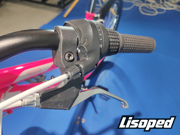 Велосипед Discovery 26" PASSION (2020) 2020 Розовый 4
