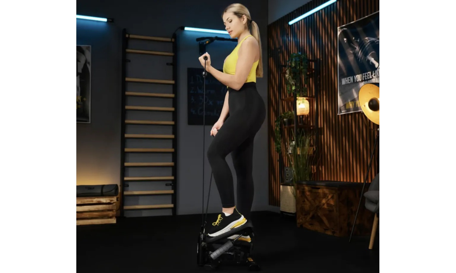 Степер 2в1 Trex-Sport TX-070SP Twiz Black 16