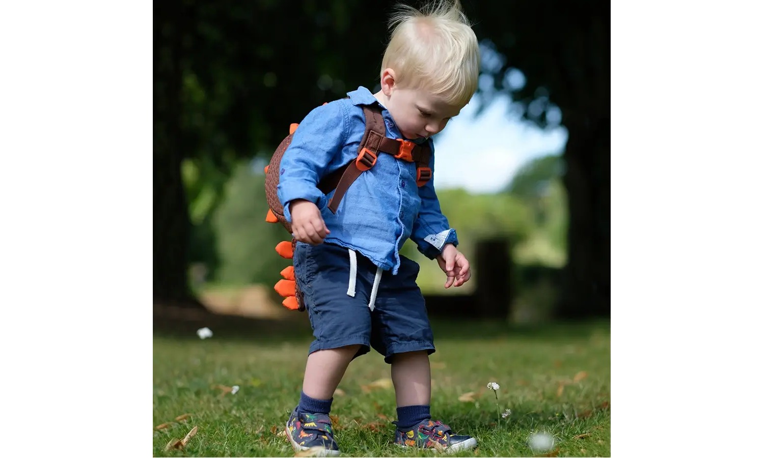 Рюкзак детский Little Life Animal Toddler dinosaur new 2 л 2 Рюкзак детский Little Life Animal Toddler dinosaur new 2 л 2