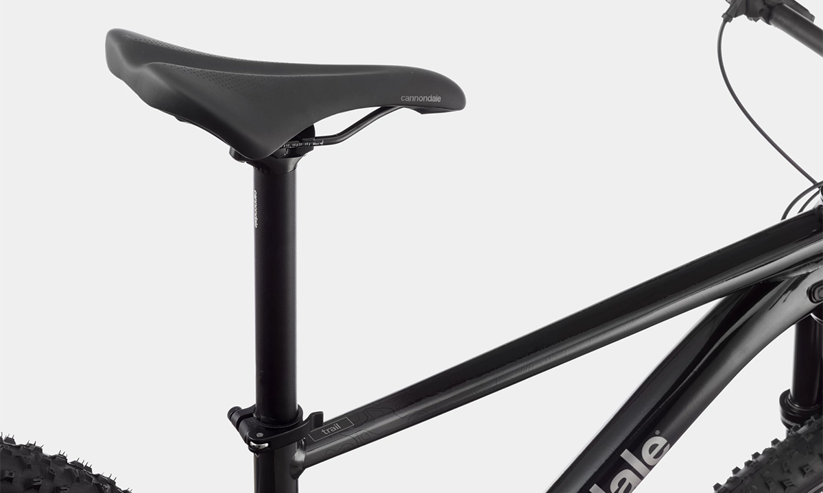 Велосипед Cannondale TRAIL SL 3 29" 2021, размер S, Черный 12