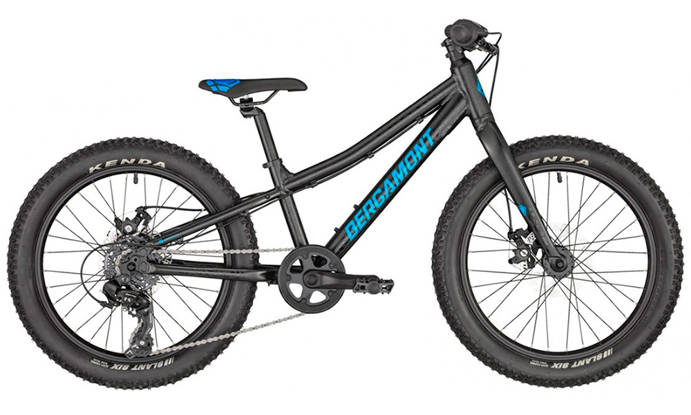 Фотография Велосипед BERGAMONT BERGAMONSTER 20" PLUS (2020) 2020 blue
