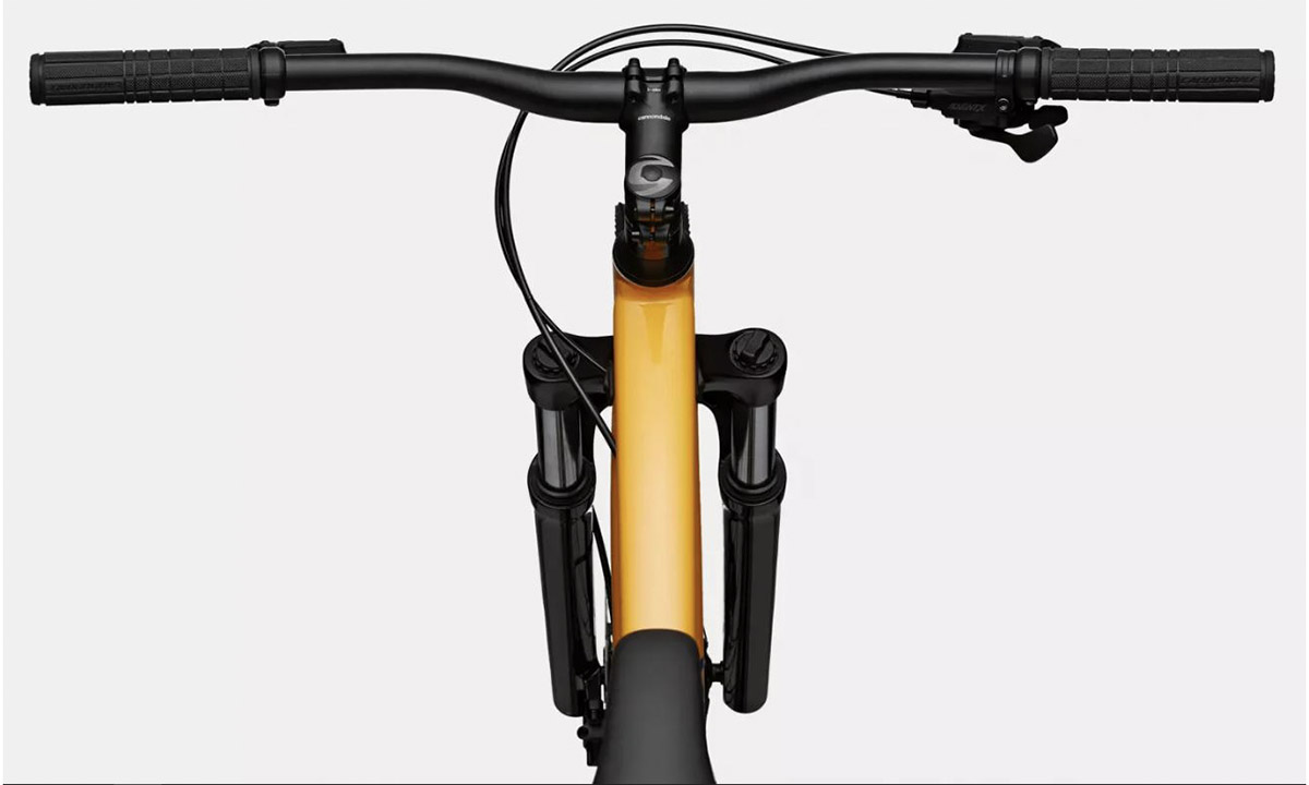 Велосипед Cannondale TRAIL 5, 29", рама XL, 2023 MGO 3