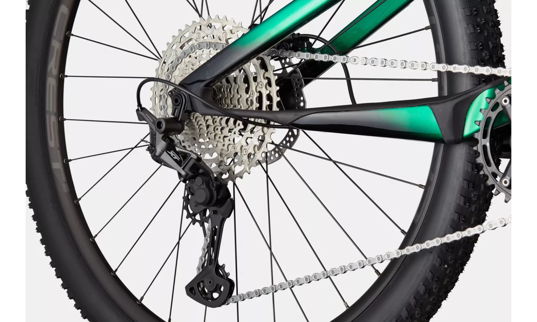 Велосипед Cannondale SCALPEL Carbon 4 29" рама XL 2023 JNG 5